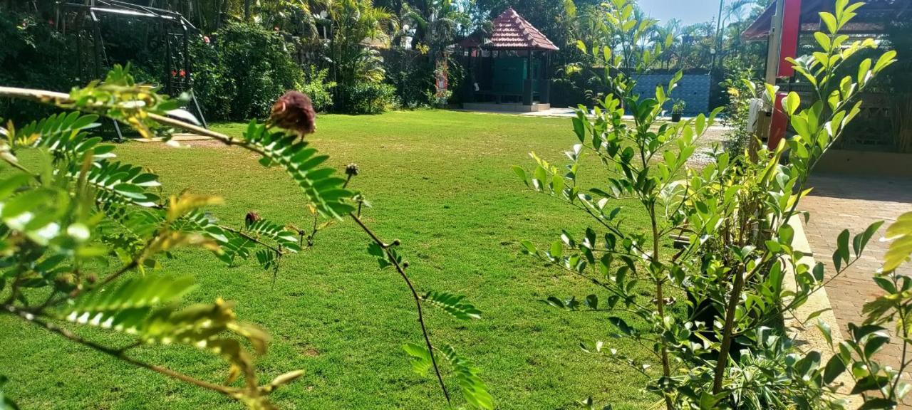 Mountview Resort لونافالا المظهر الخارجي الصورة